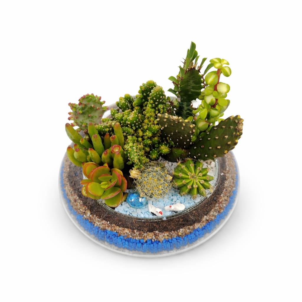 Terrario Oasis Azul - Imagen 2