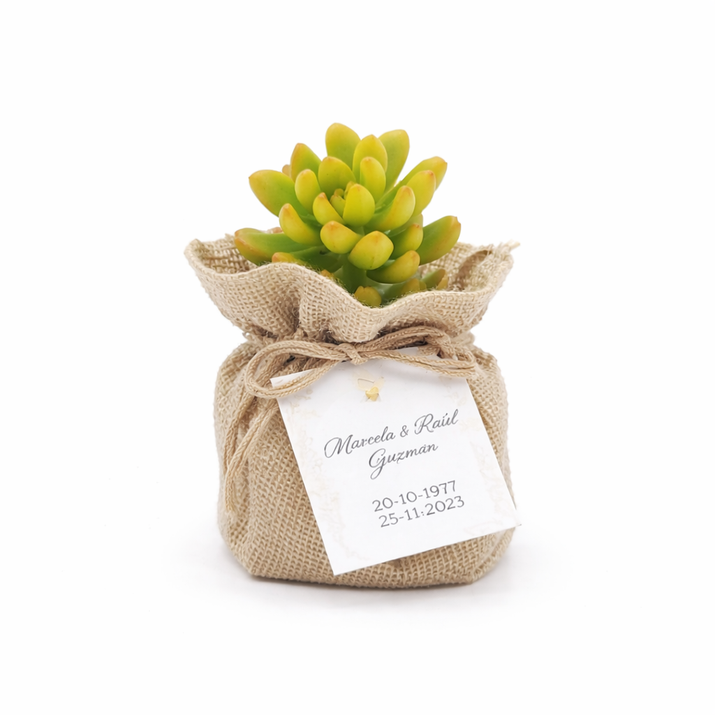 Bolsa Natural - Imagen 2