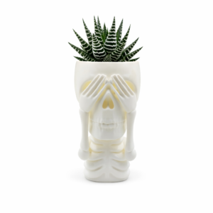Calavera Botánica