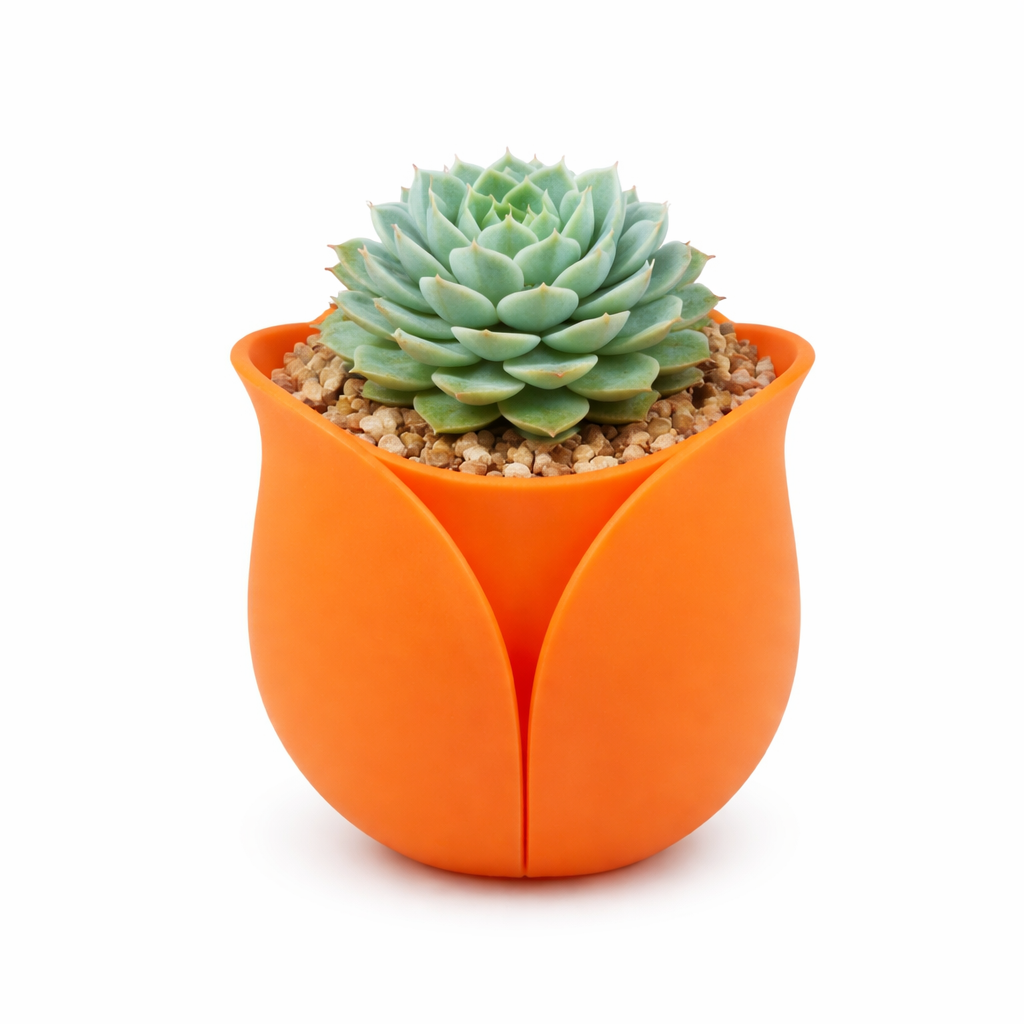 Tulipán Vivo