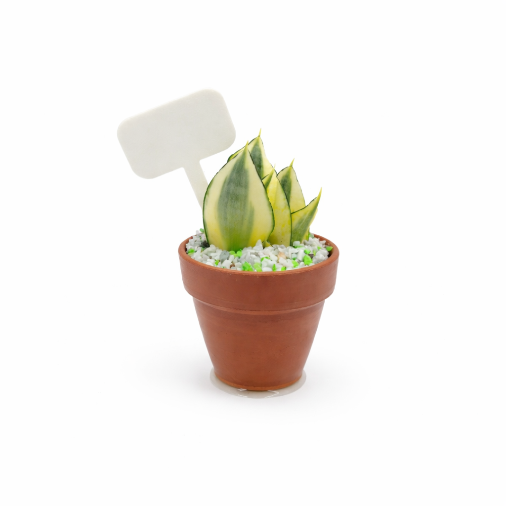 Etiquetas para plantas - Imagen 2