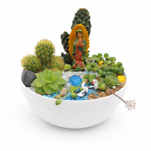Terrario Virgen de Guadalupe