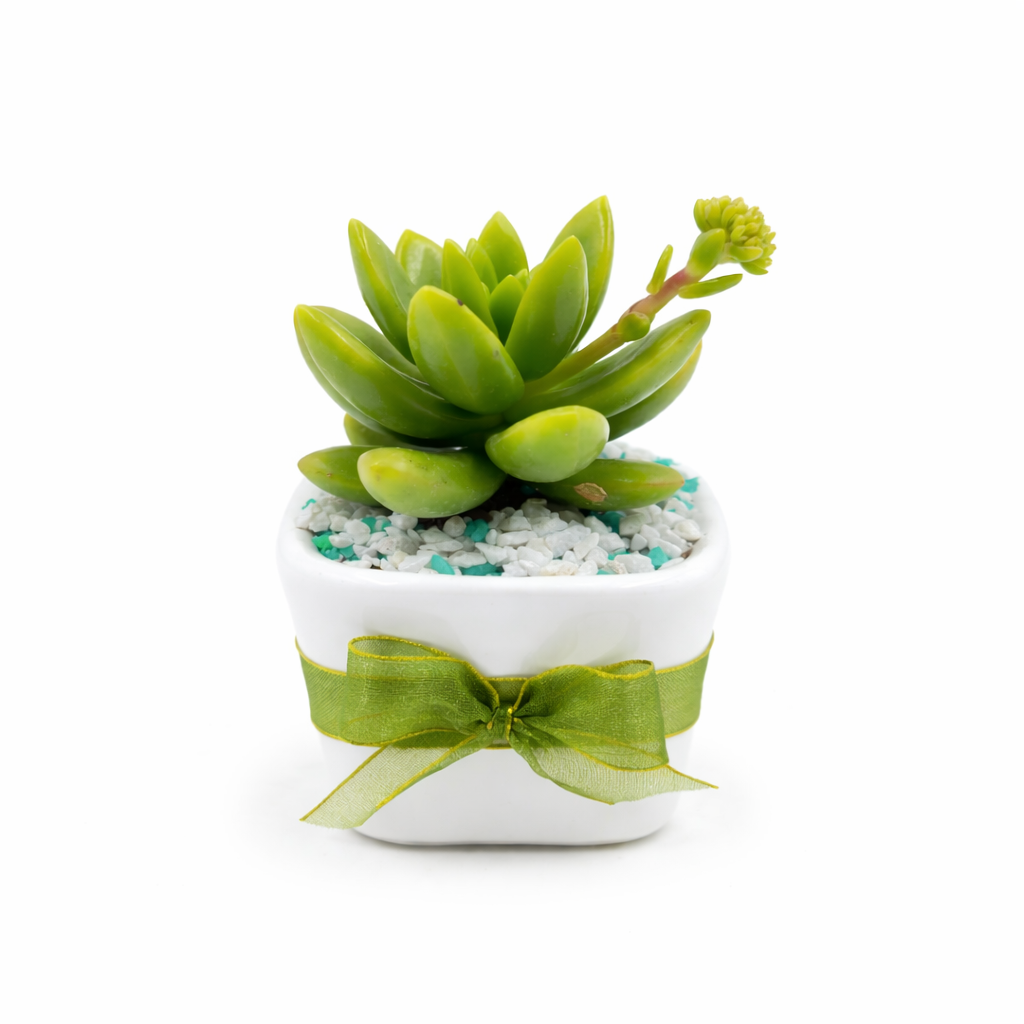 Esencia Verde - Imagen 2