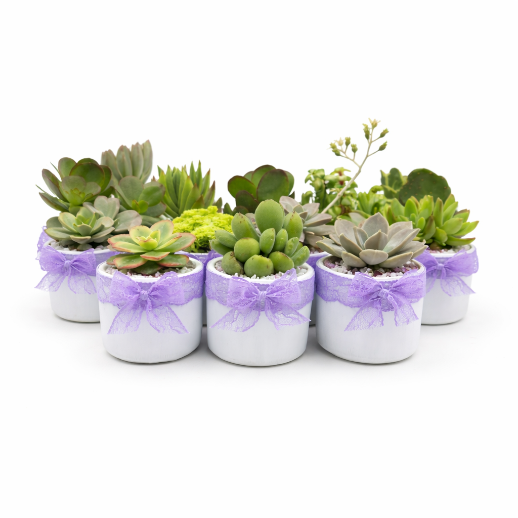 Cilindro Decorativo