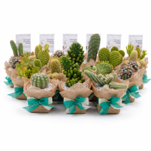 Encanto en Doble Cinta