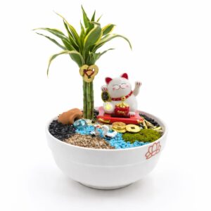 Jardín Zen de la Suerte