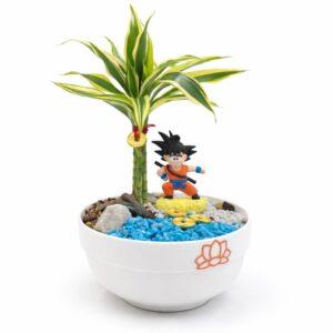 Terrario Goku