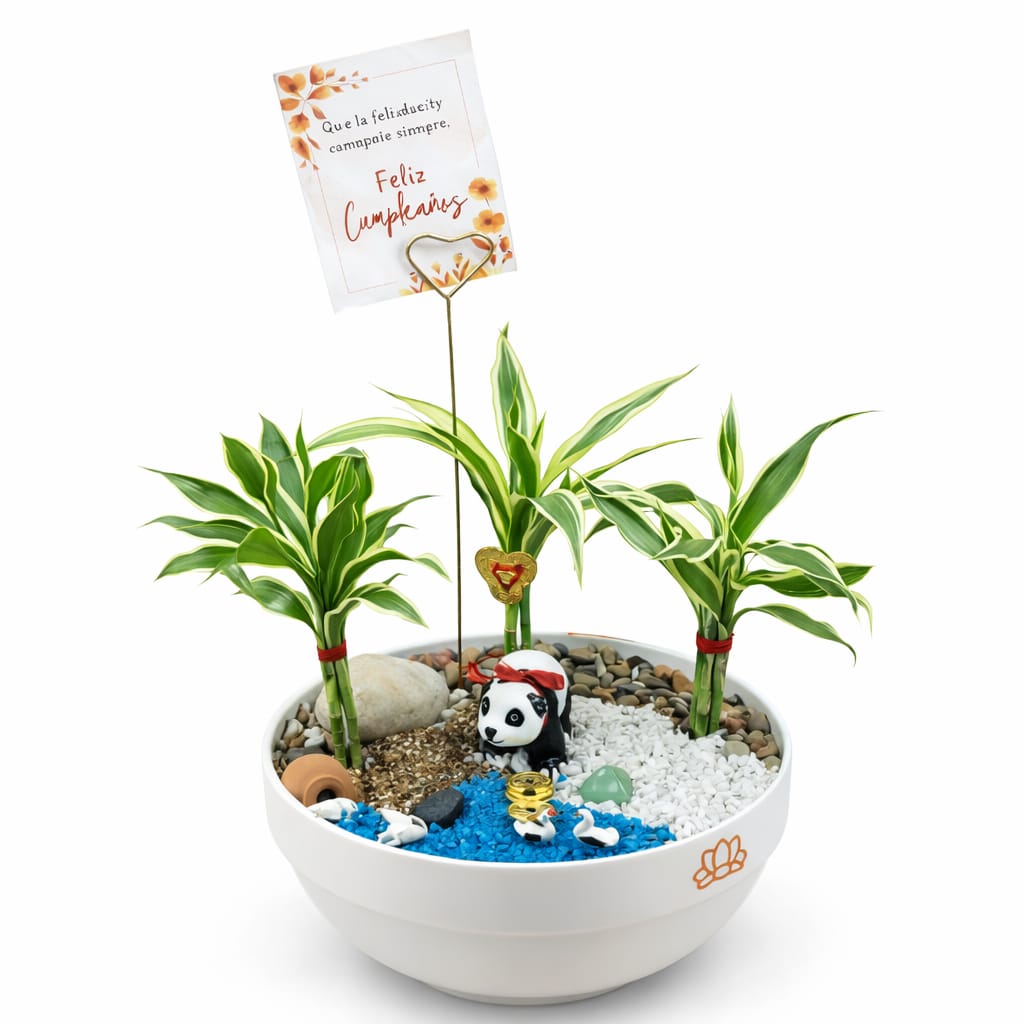 Terrario Panda