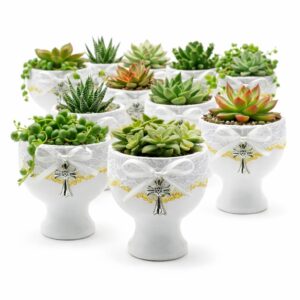 Copa de Esperanza