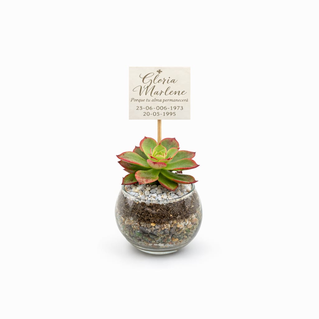 Esfera Cristal - Imagen 2