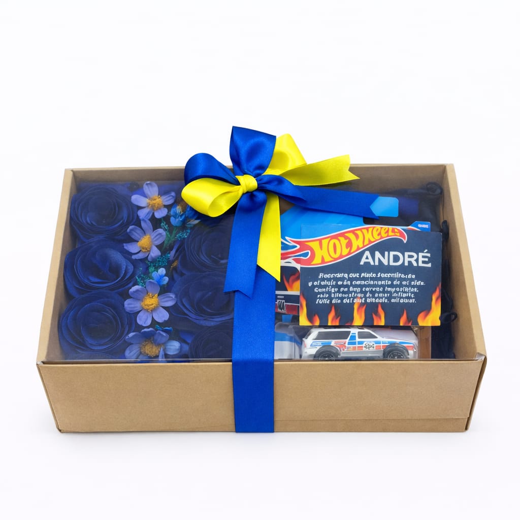 Box Hot Wheels