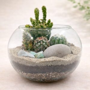 Terrario Vidrio