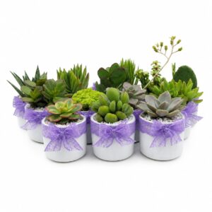Cilindro Decorativo