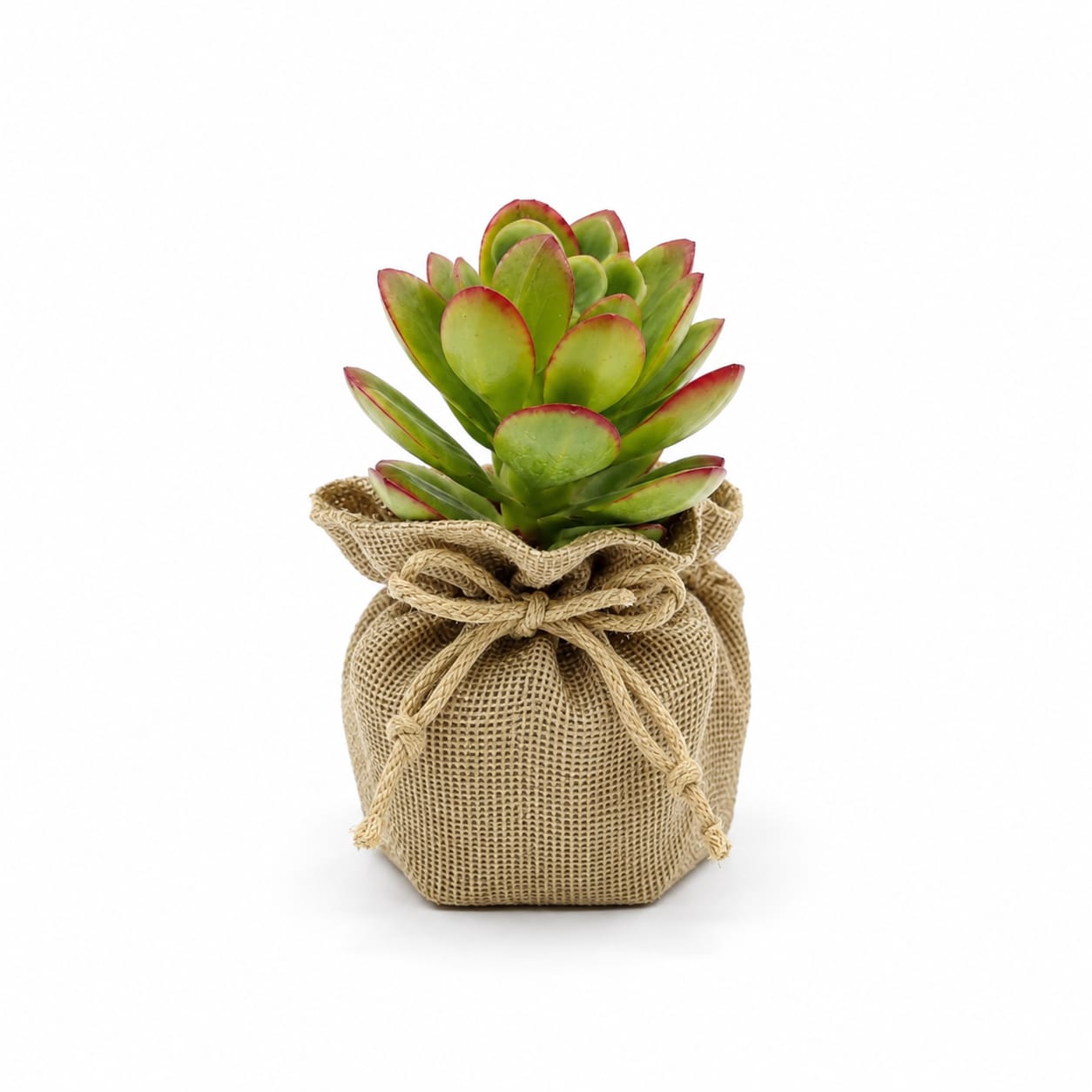 Bolsa Natural - Imagen 2