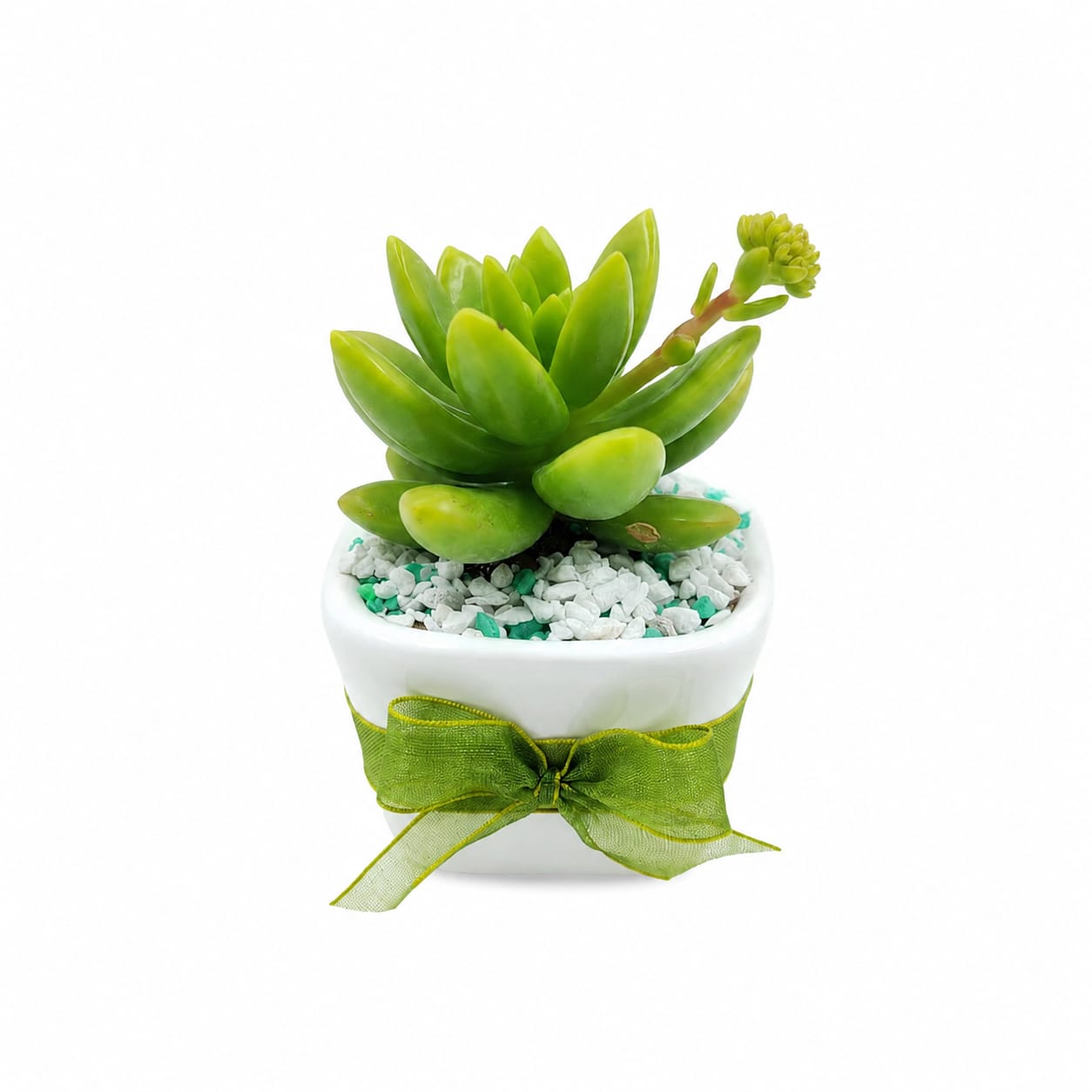 Esencia Verde - Imagen 2
