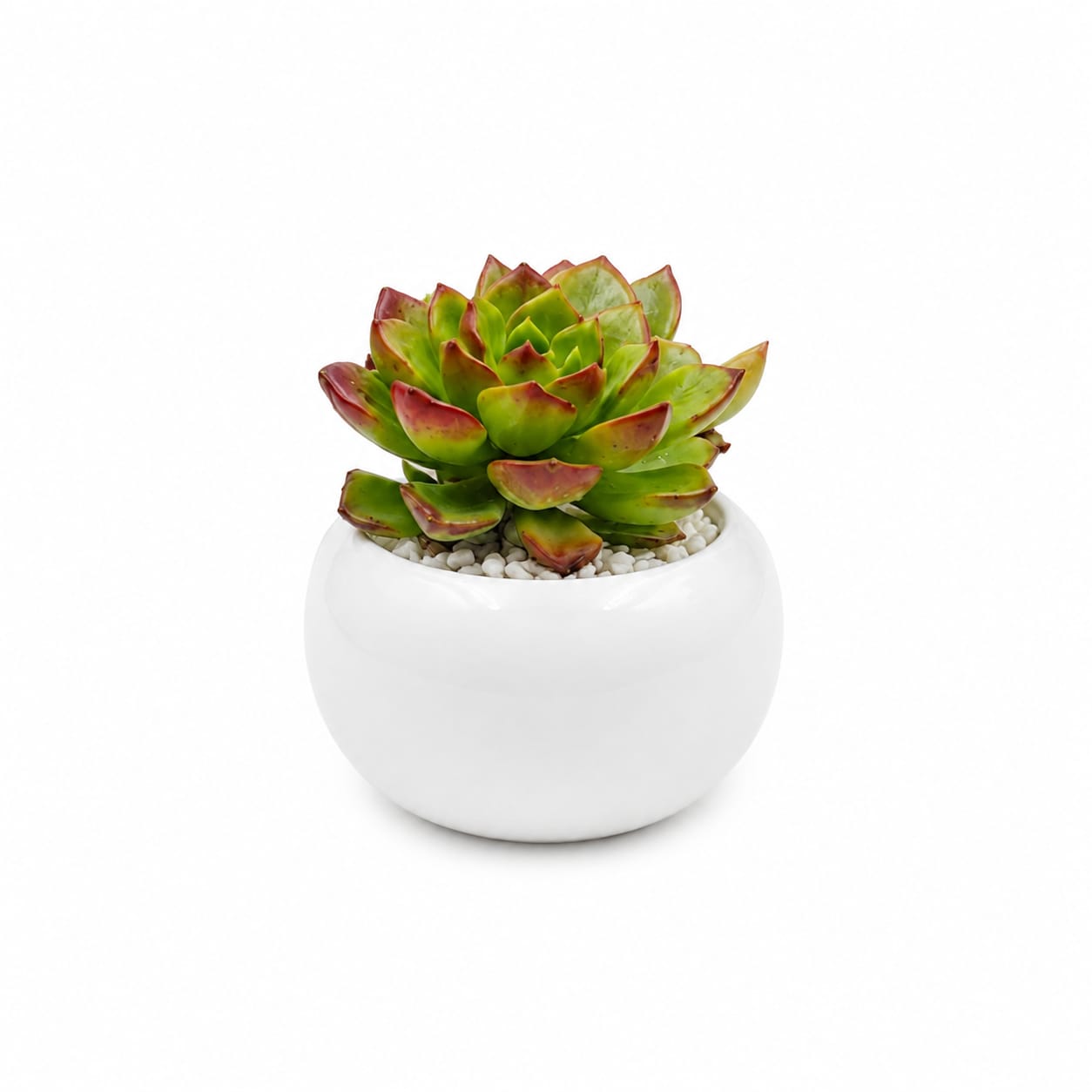 Pureza Natural - Imagen 2