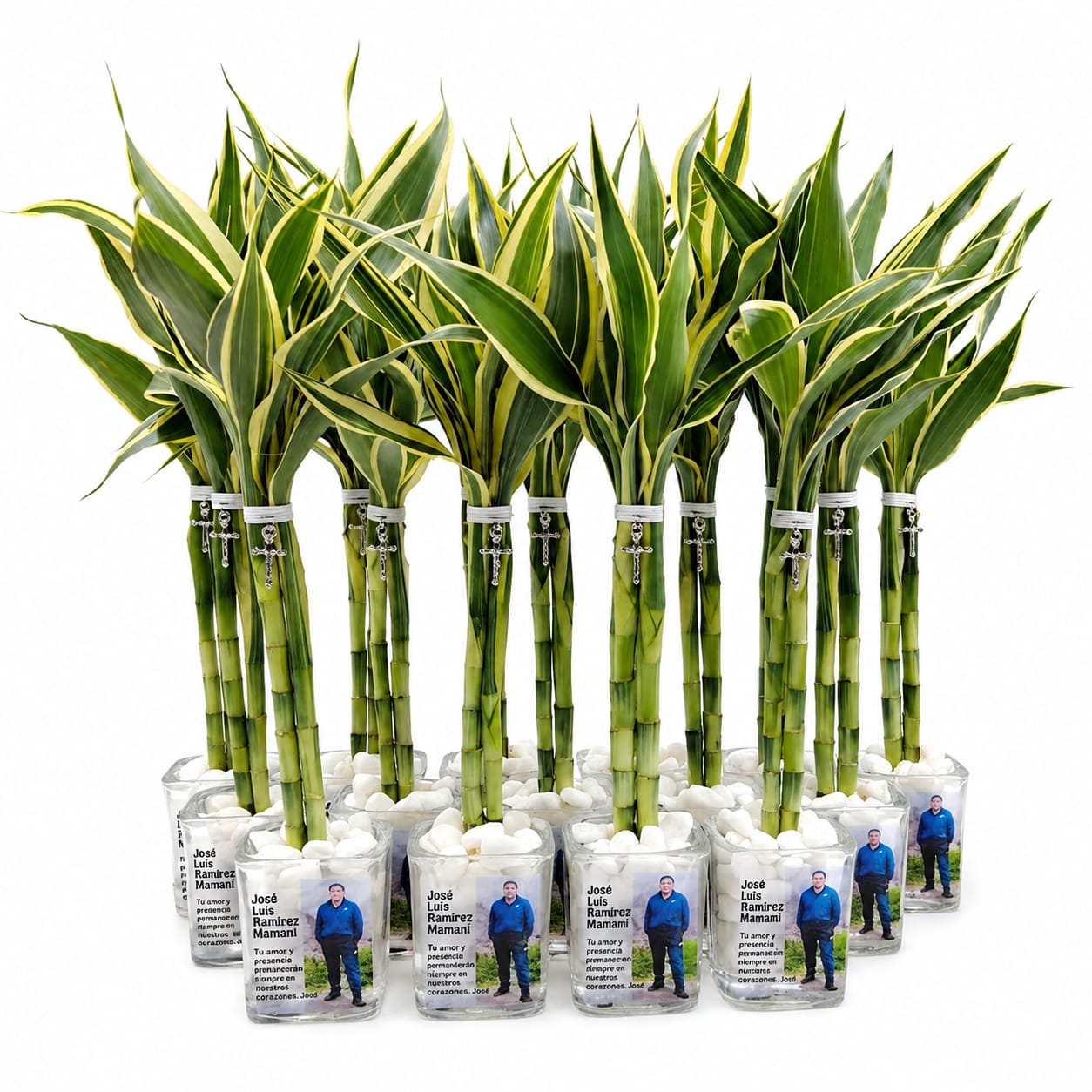 Bambú Variegado 2 Varas Vinil Adhesivo