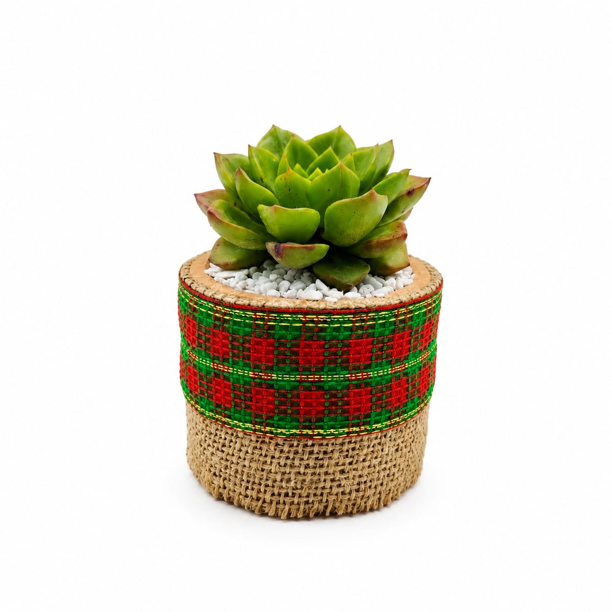 Maceta Cilindro Navideño - Imagen 2