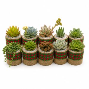 Maceta Cilindro Navideño