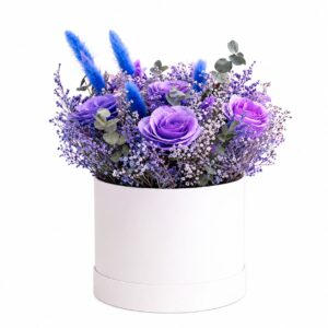 Encanto Violeta