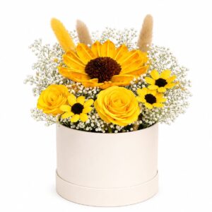 Sol de Primavera