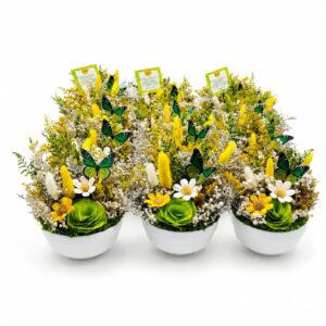 Primavera Eterna